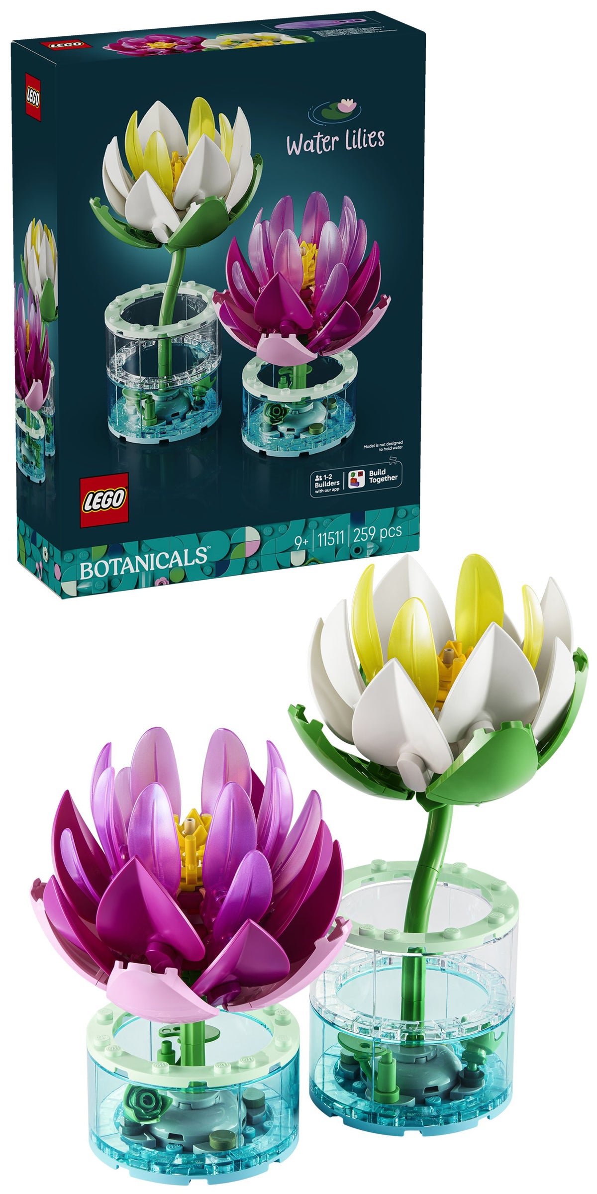 Water Lilies
