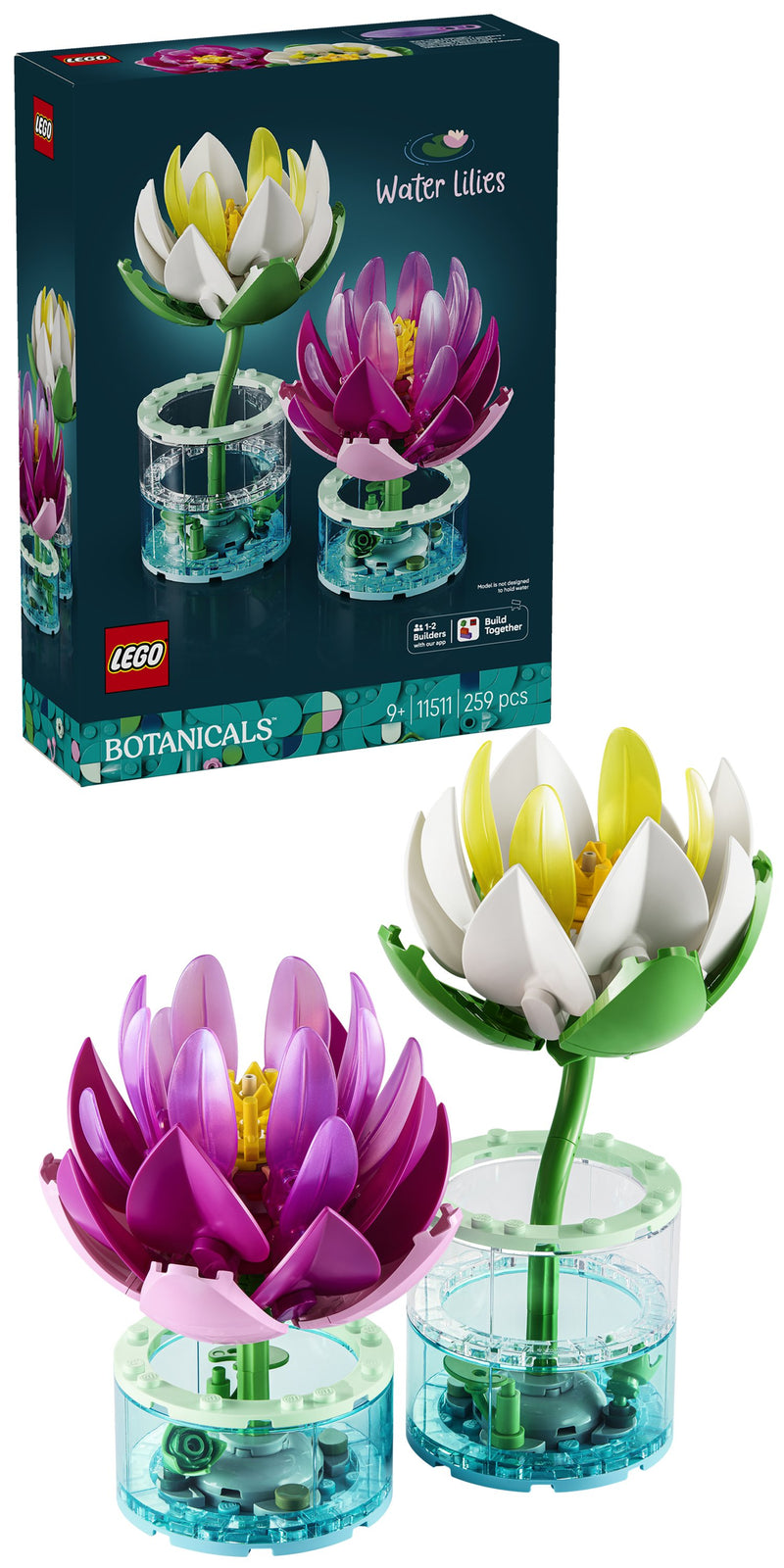 Water Lilies