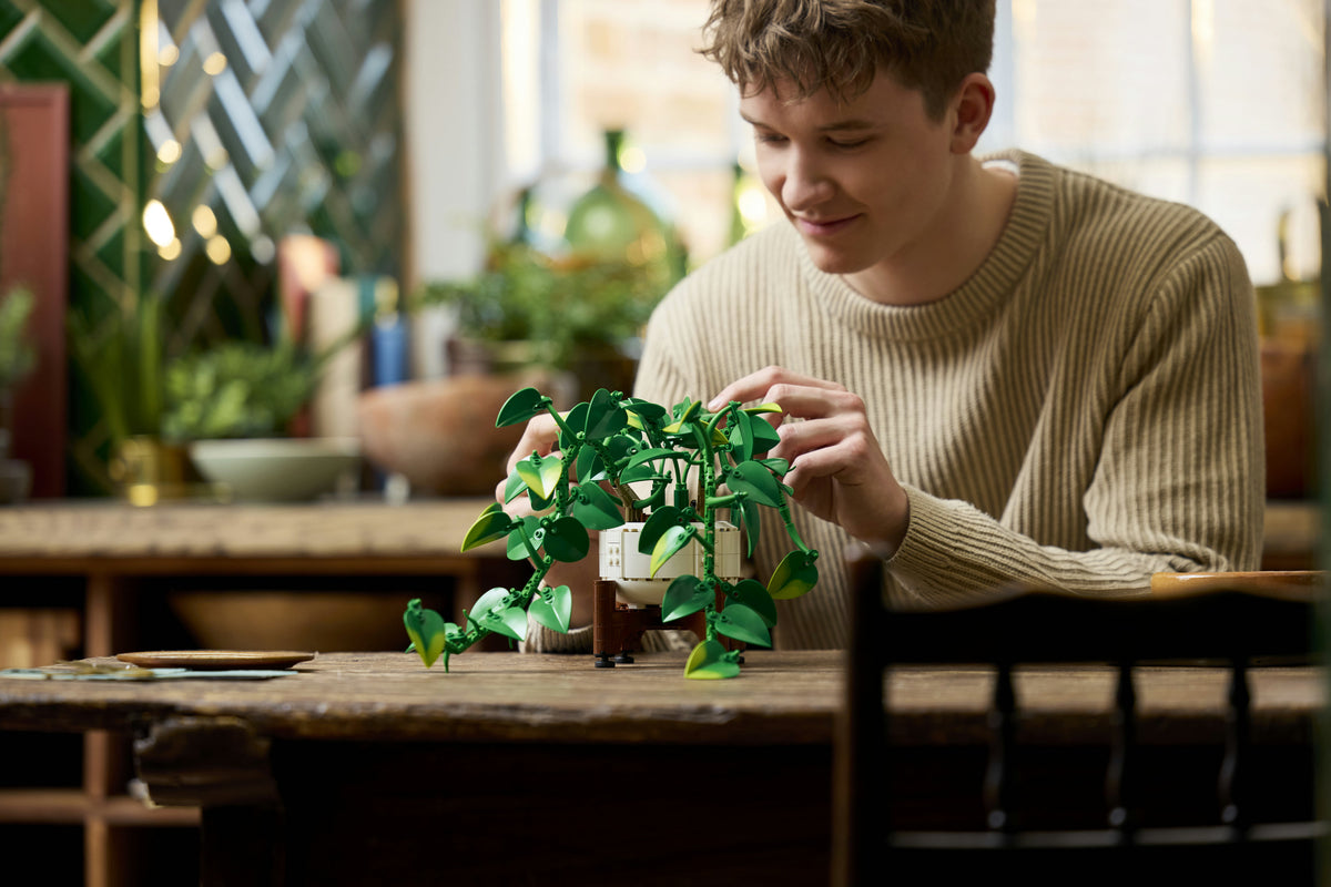 Hanging Golden Pothos