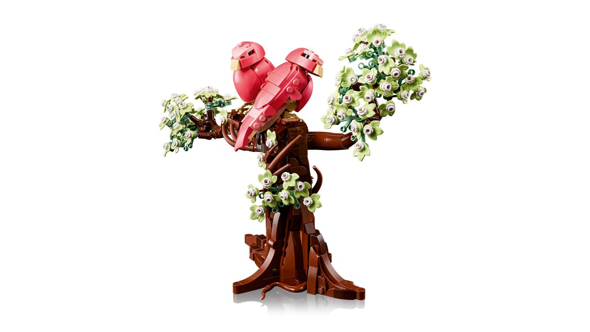 Love Birds