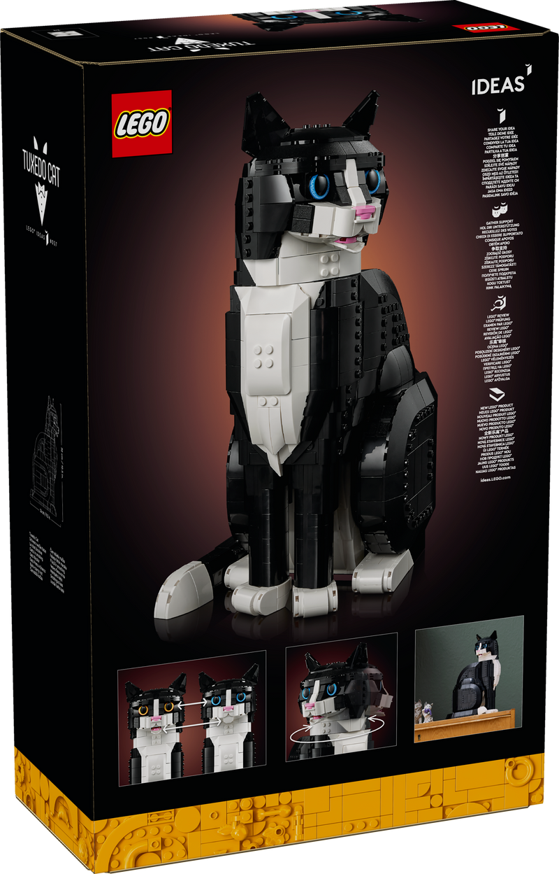 Tuxedo Cat