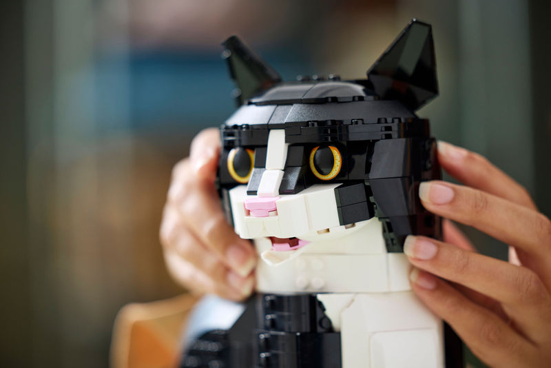 Tuxedo Cat