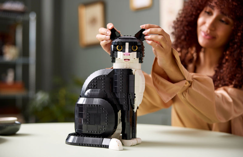 Tuxedo Cat