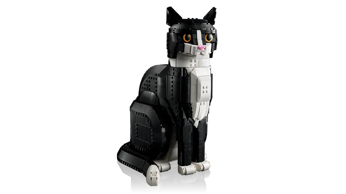Tuxedo Cat