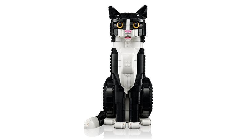Tuxedo Cat