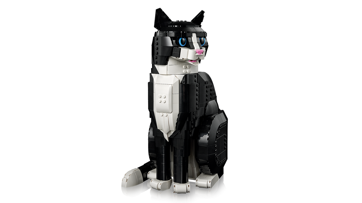 Tuxedo Cat