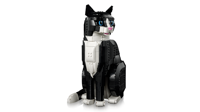 Tuxedo Cat