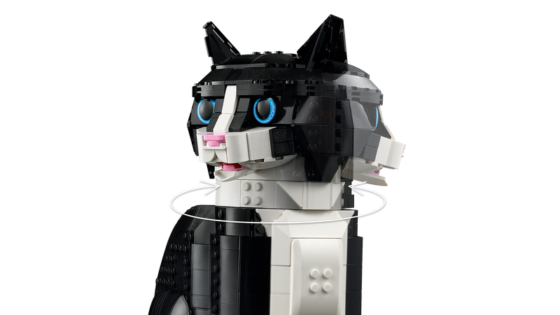 Tuxedo Cat