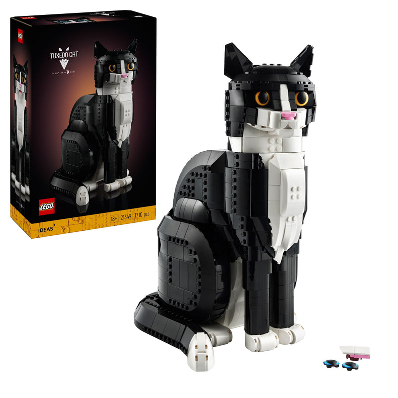 Tuxedo Cat