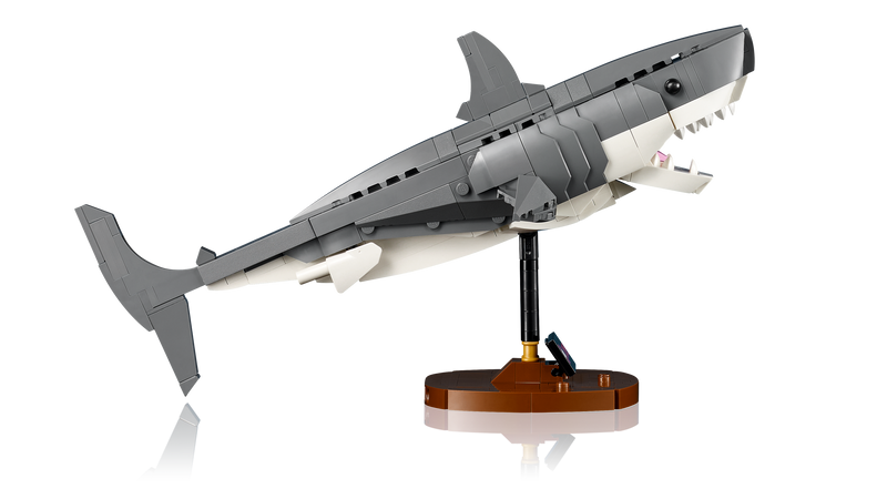 Jaws
