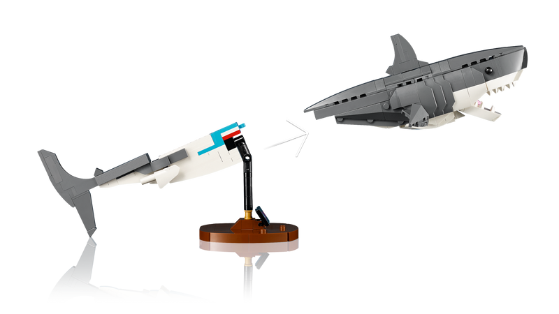 Jaws
