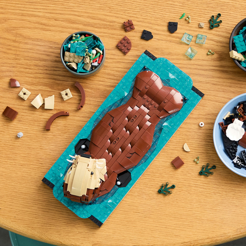 Floating Sea Otters