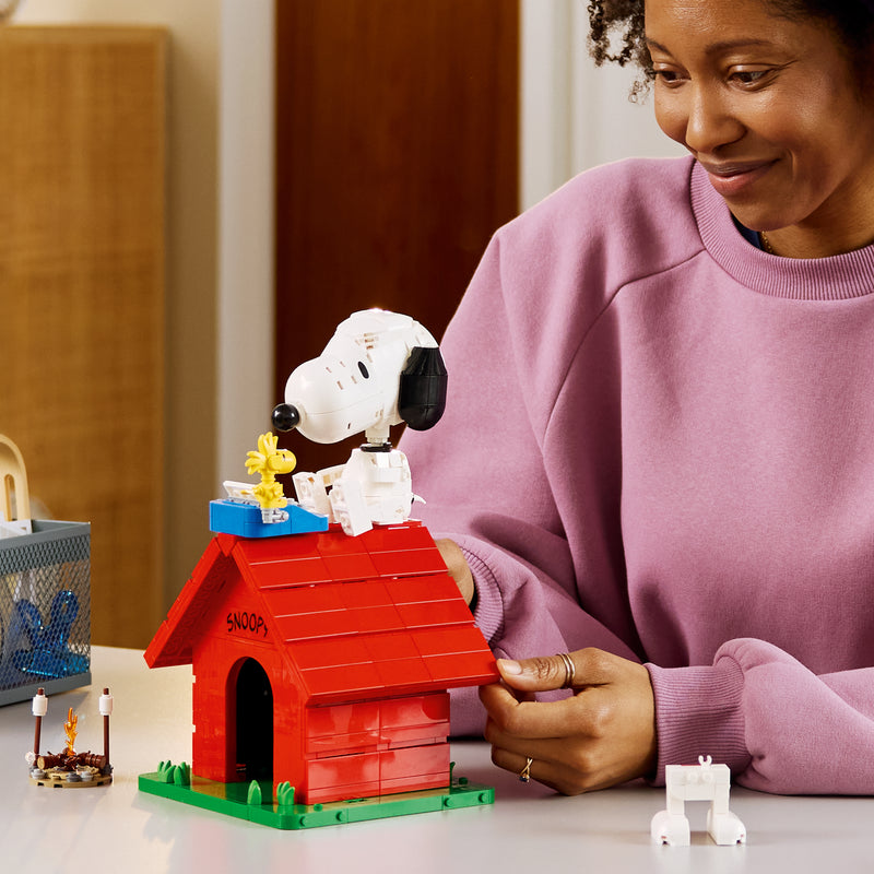 Peanuts: Snoopy's Doghouse
