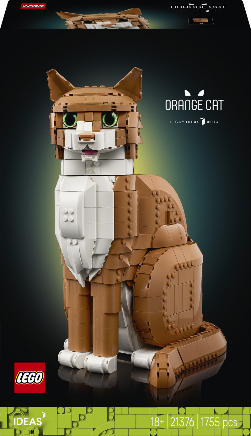 Orange Cat