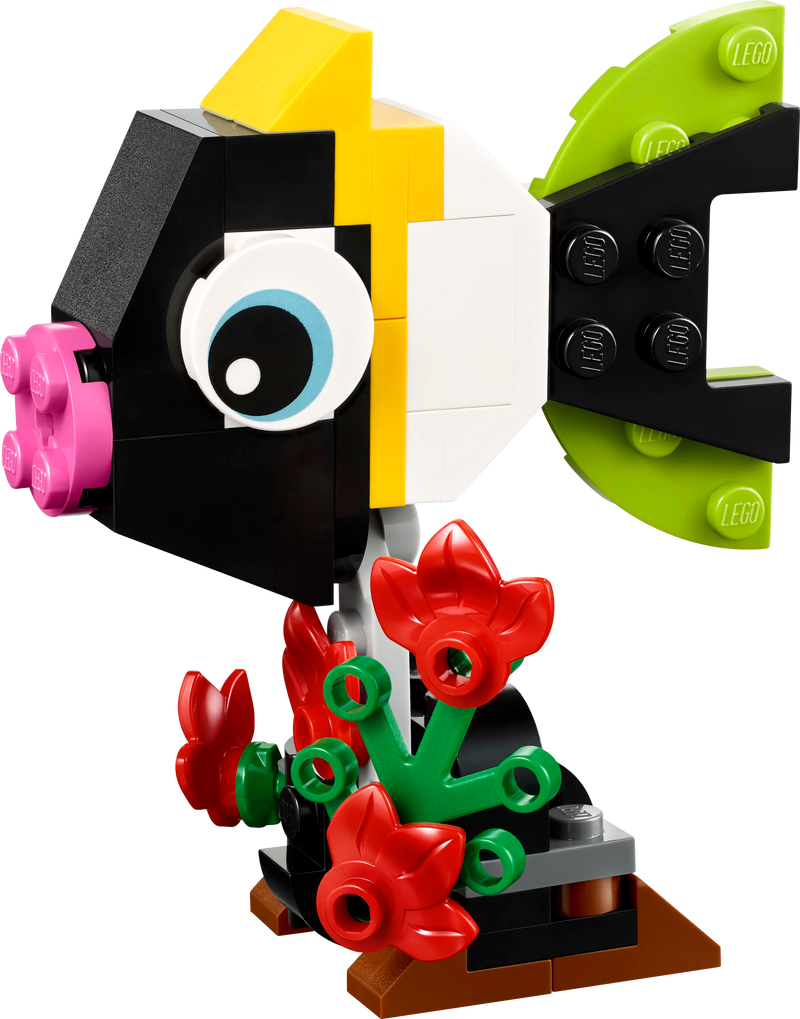 Tropical Toucan
