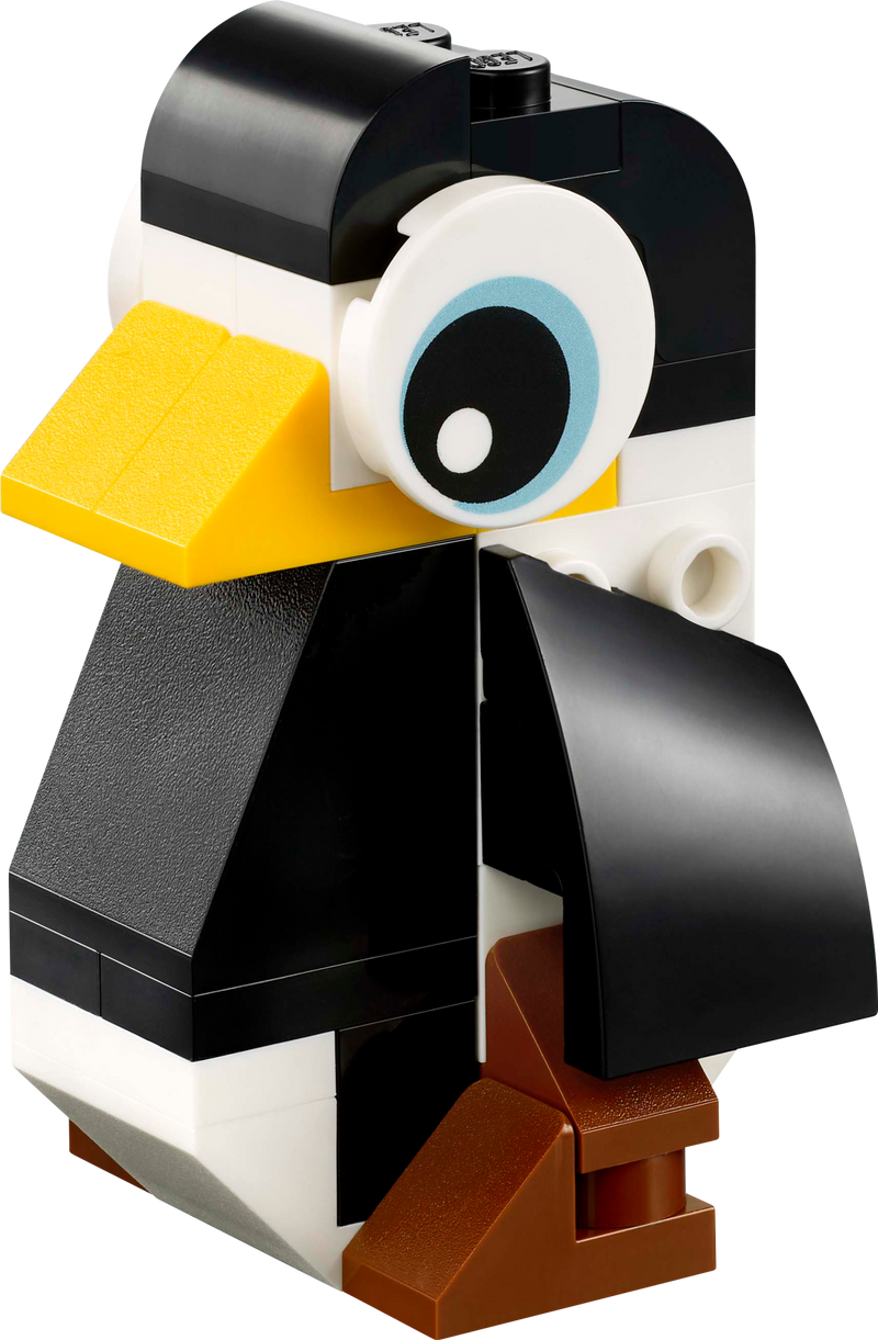Tropical Toucan