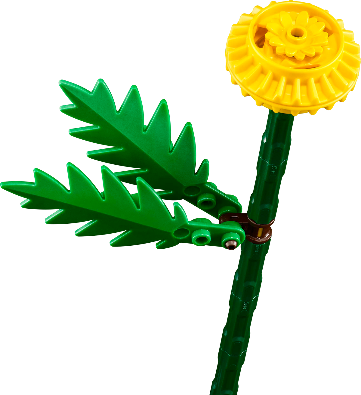Field Flowers