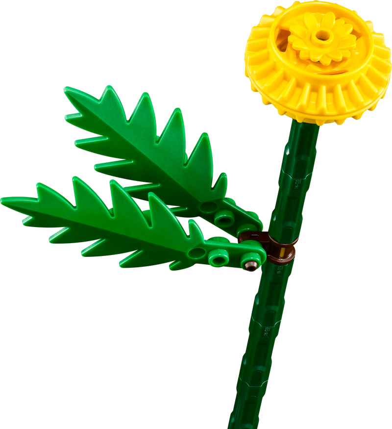 Field Flowers