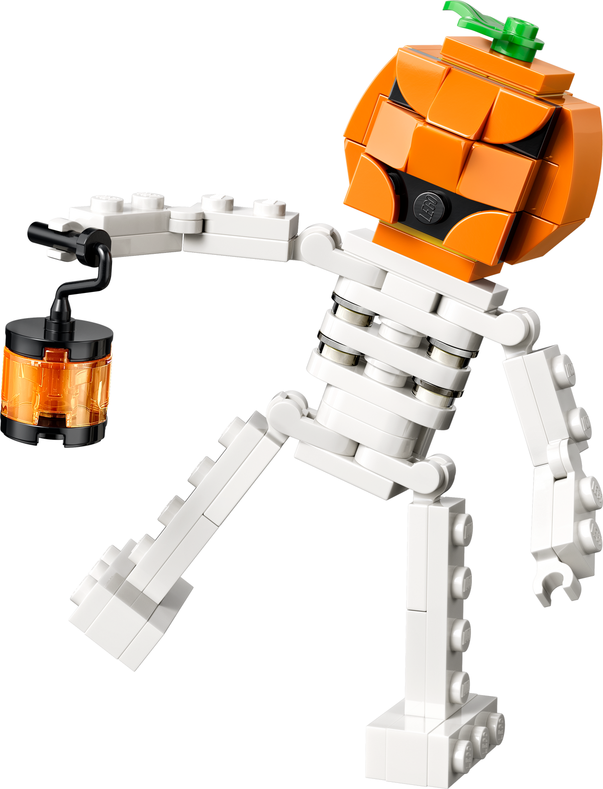 Fun Halloween Skeleton