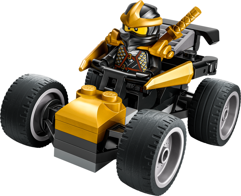 Ninja Cole's Car