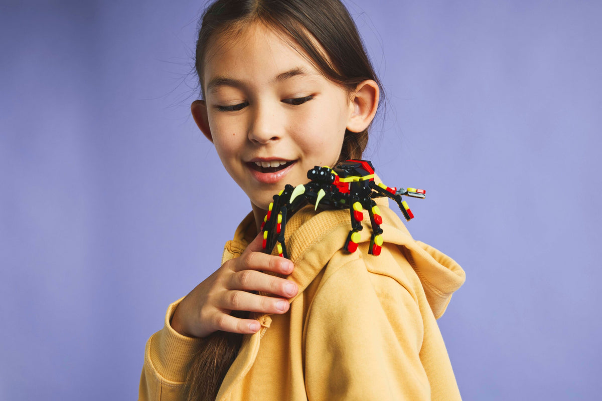 Wild Animals: Surprising Spider