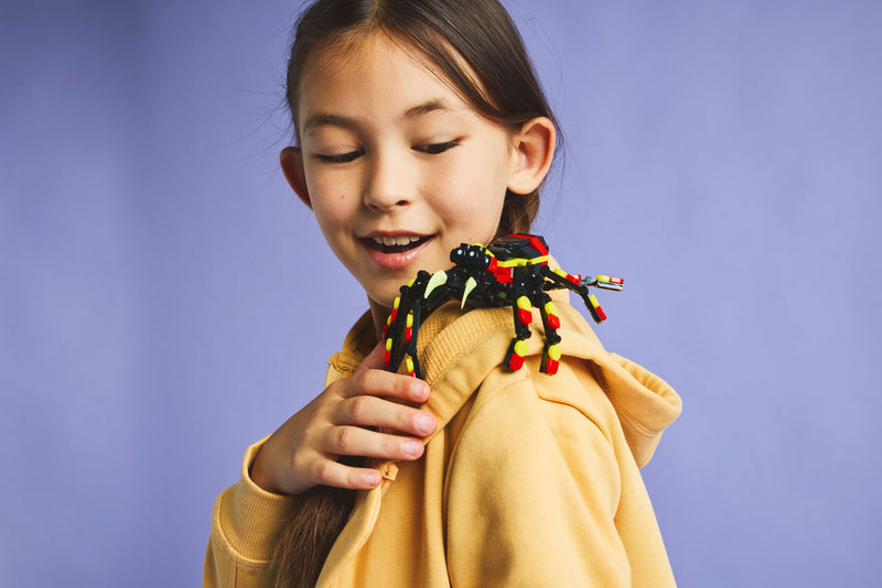 Wild Animals: Surprising Spider