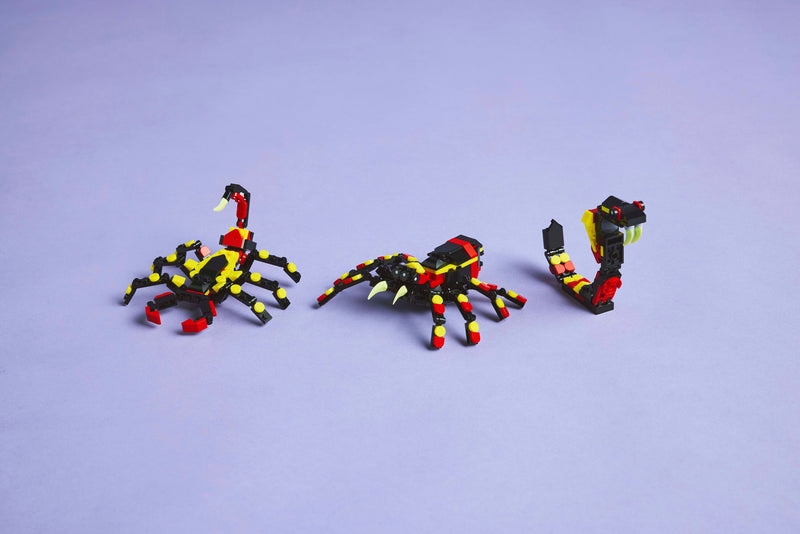 Wild Animals: Surprising Spider