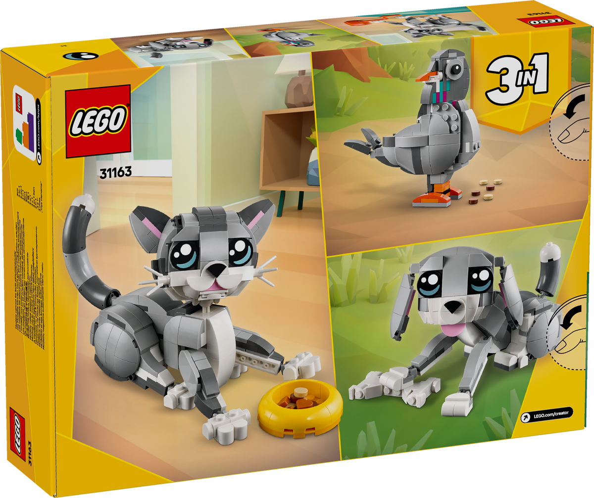 Playful Cat