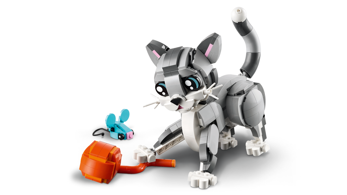 Playful Cat