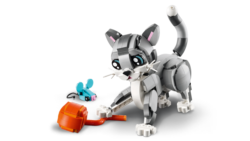 Playful Cat