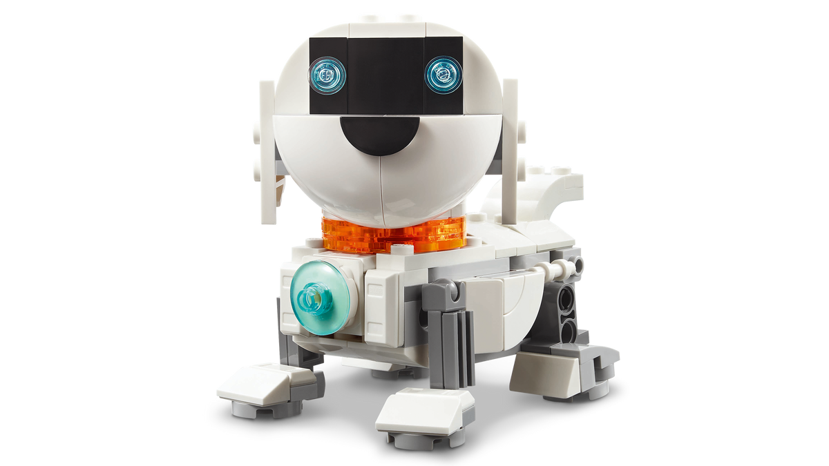 Space Robot