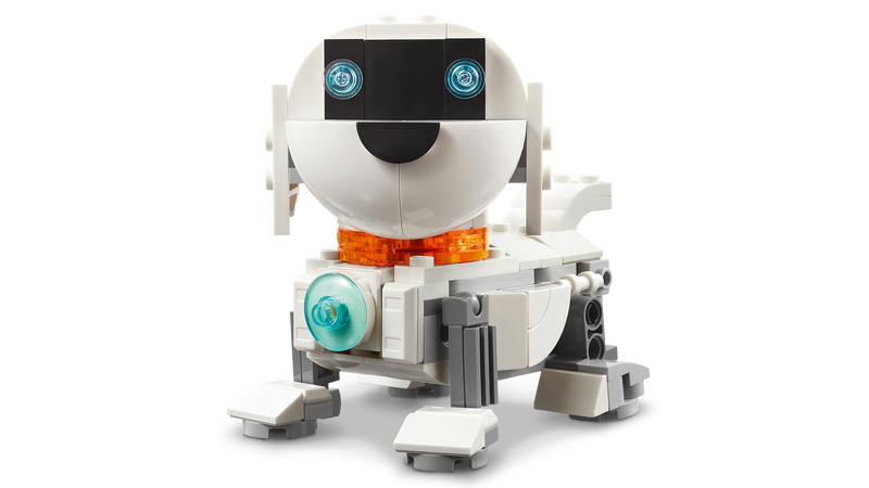 Space Robot
