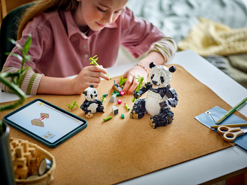 Wild Animals: Panda Family