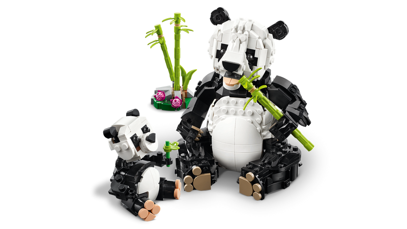 Wild Animals: Panda Family
