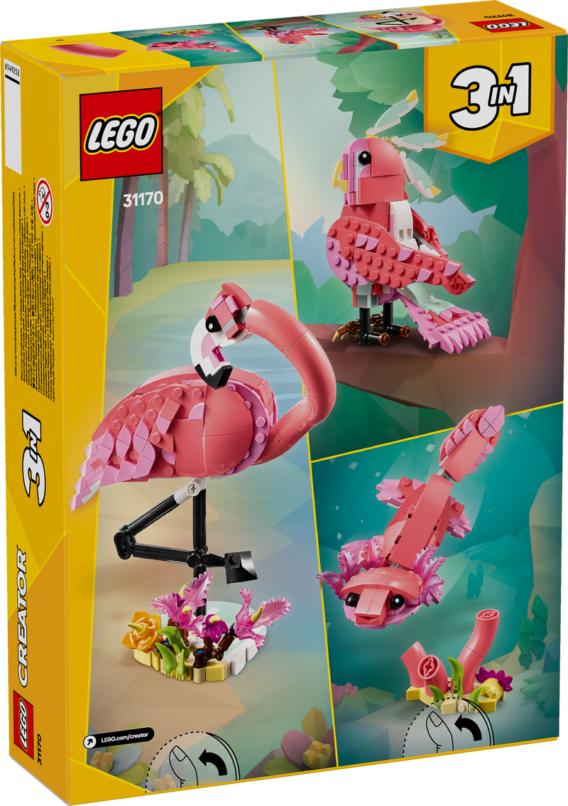 Wild Animals: Pink Flamingo