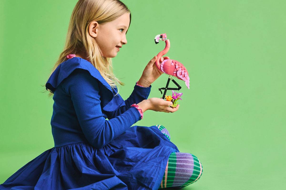 Wild Animals: Pink Flamingo