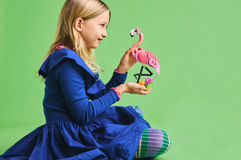 Wild Animals: Pink Flamingo