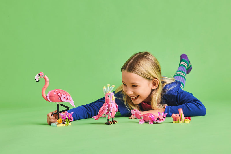 Wild Animals: Pink Flamingo