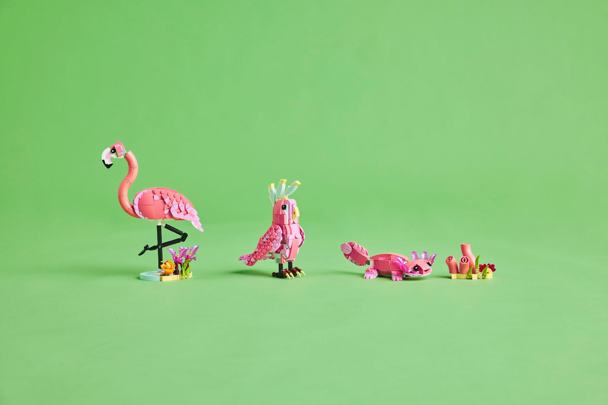 Wild Animals: Pink Flamingo