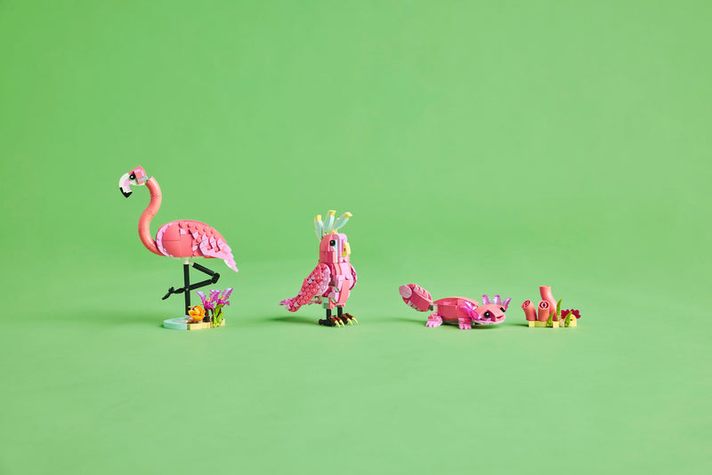 Wild Animals: Pink Flamingo