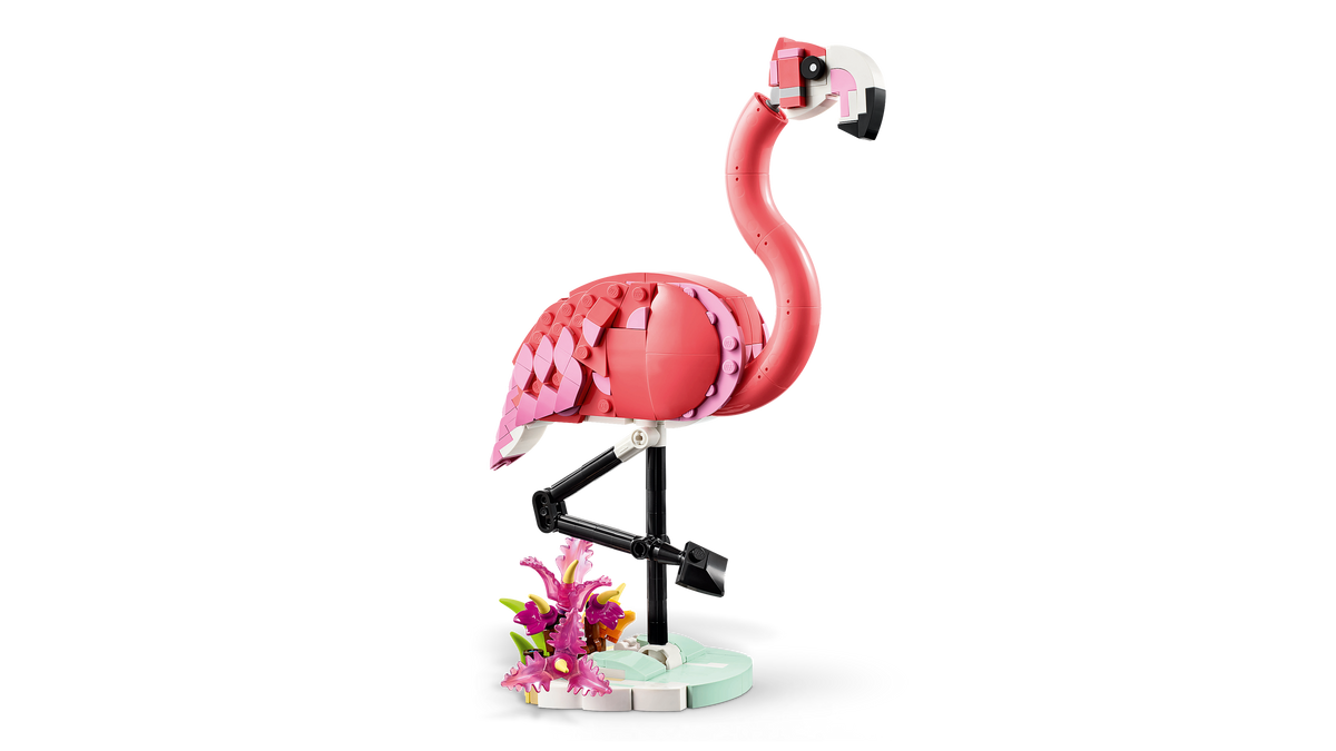 Wild Animals: Pink Flamingo