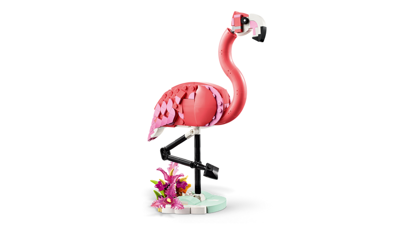 Wild Animals: Pink Flamingo