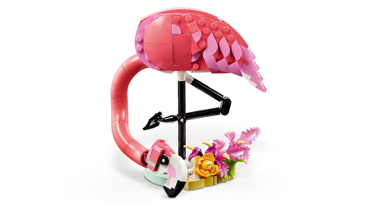 Wild Animals: Pink Flamingo