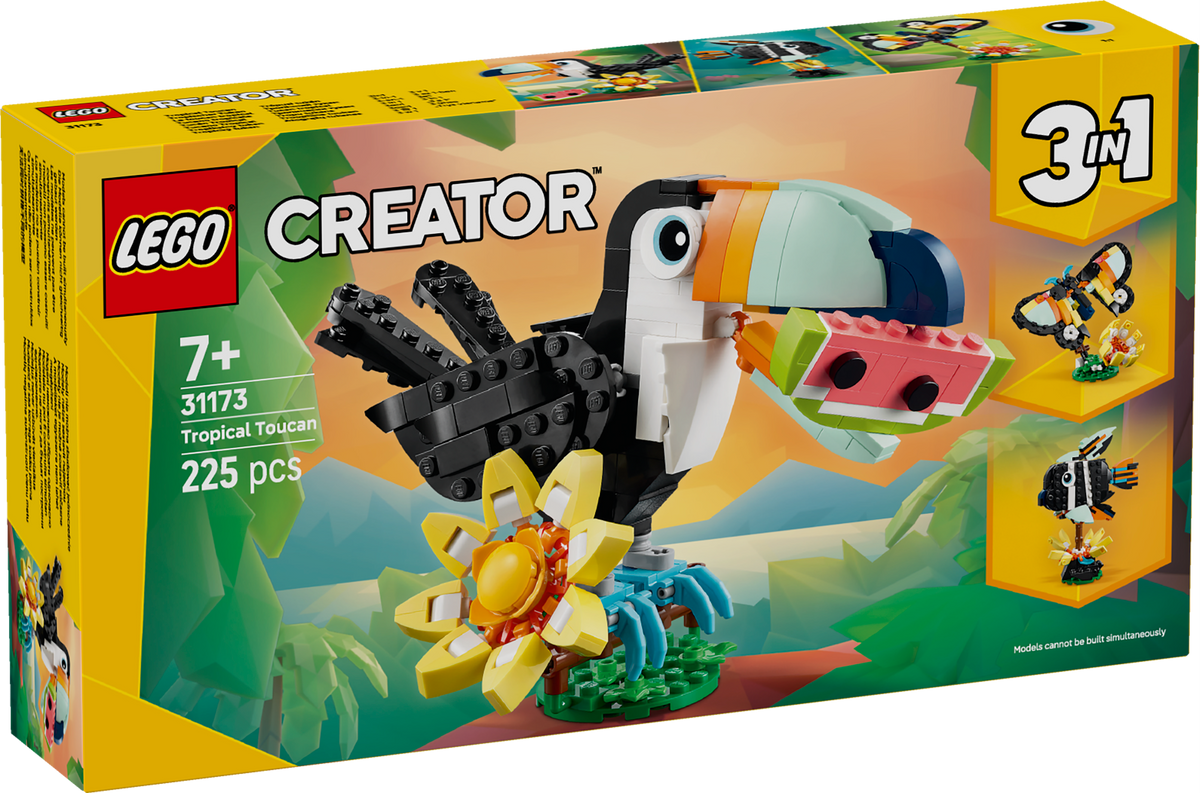 Wild Animals: Tropical Toucan