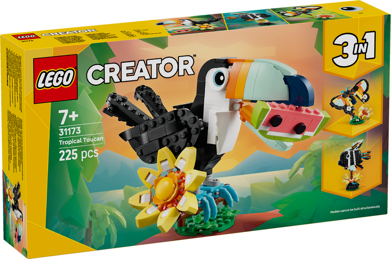 Wild Animals: Tropical Toucan