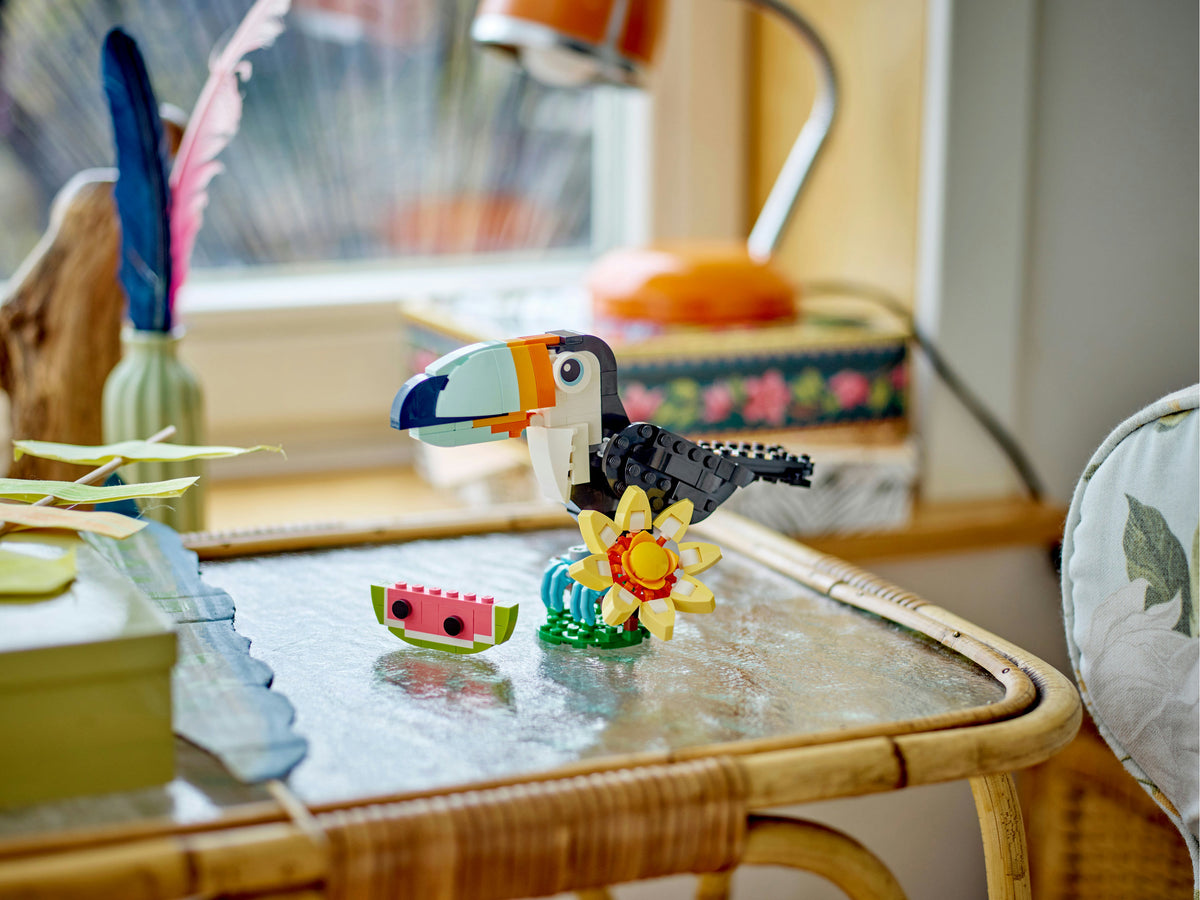Wild Animals: Tropical Toucan