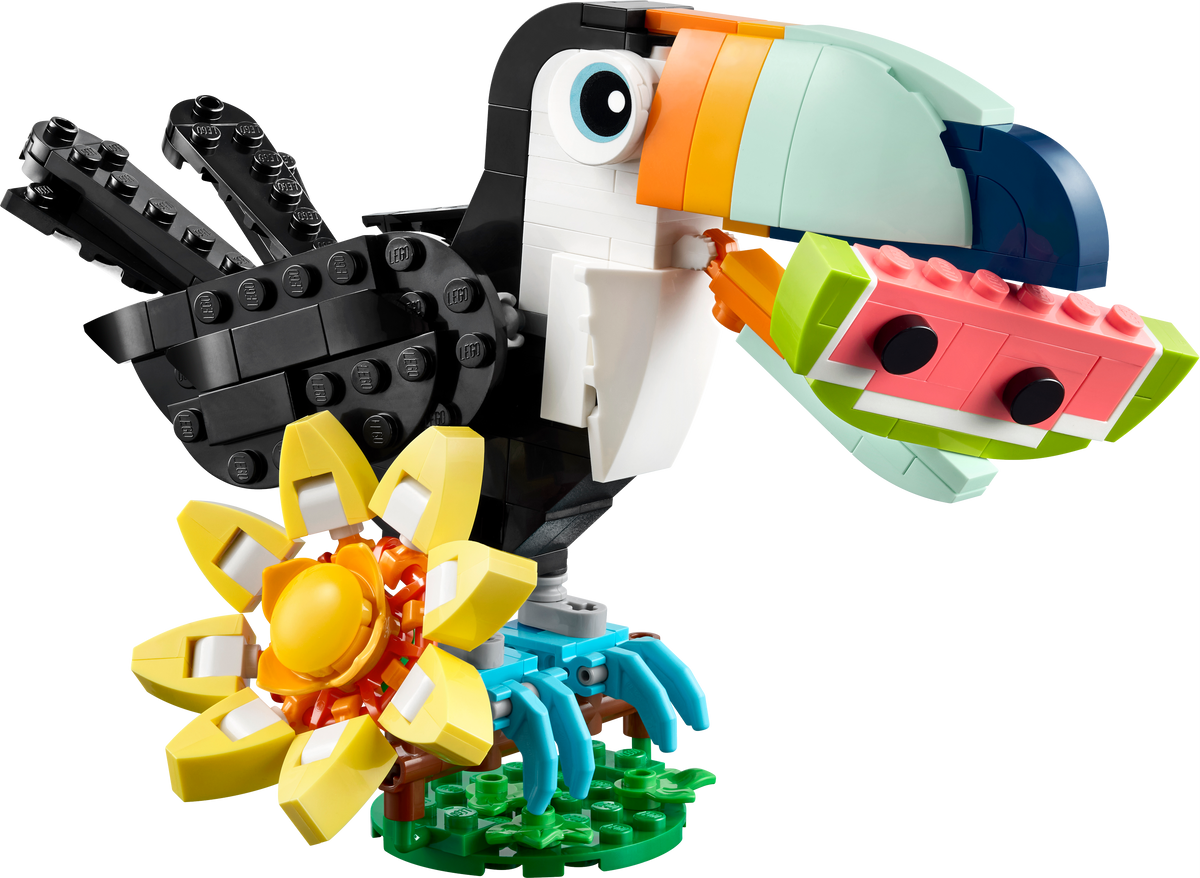 Wild Animals: Tropical Toucan