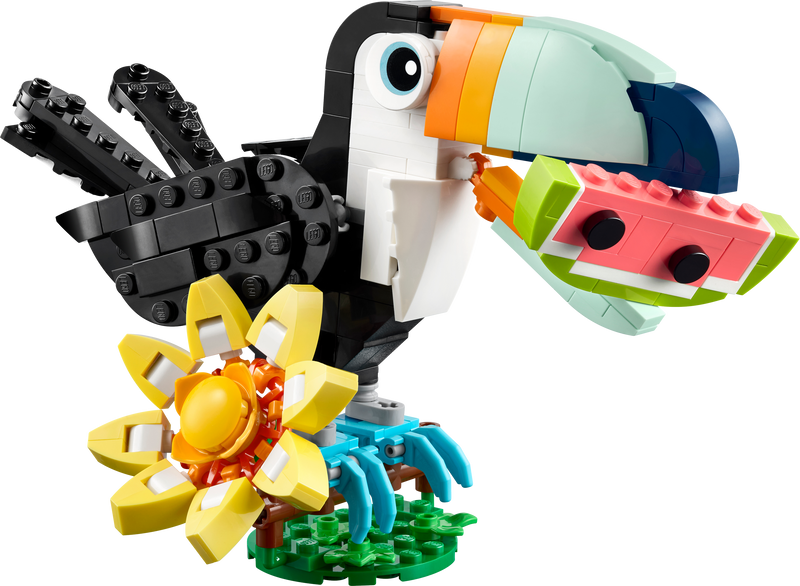Wild Animals: Tropical Toucan