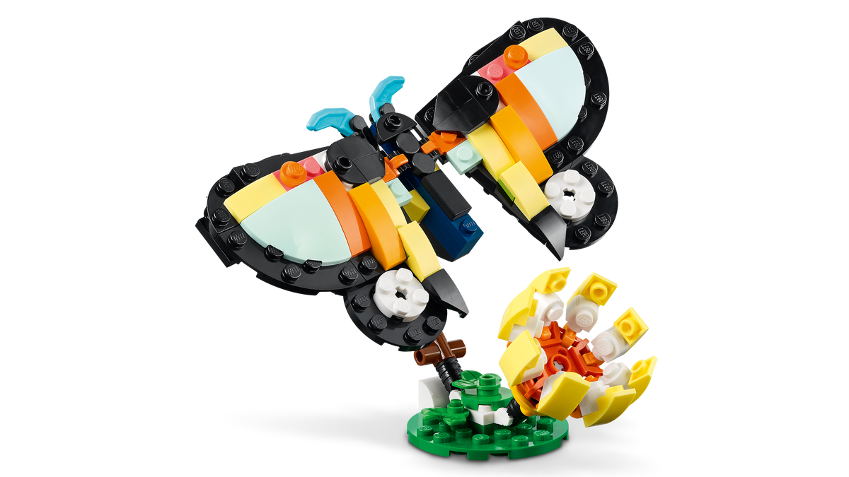 Wild Animals: Tropical Toucan