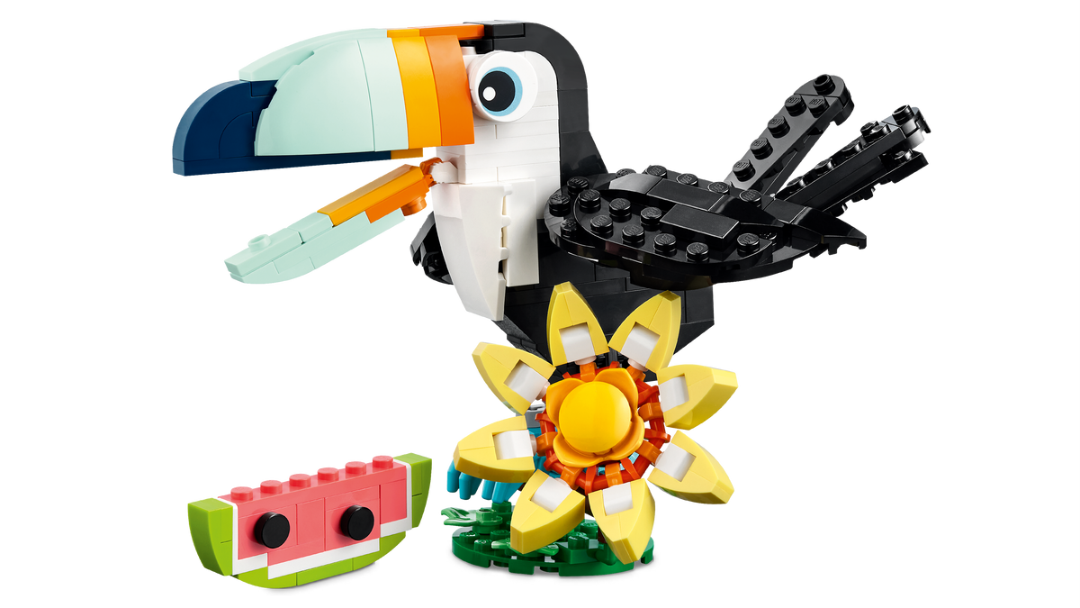 Wild Animals: Tropical Toucan